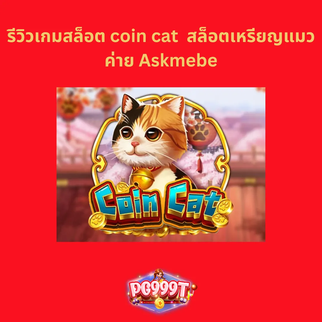 coin cat